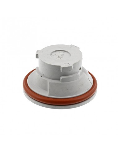 Tapón abrillantador lavavajillas