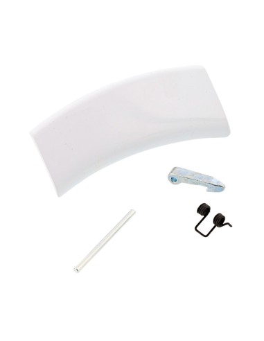 Cierre puerta lavadora Electrolux 4055186607